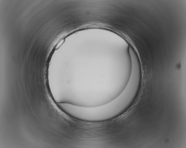 X0000114630997200912011021