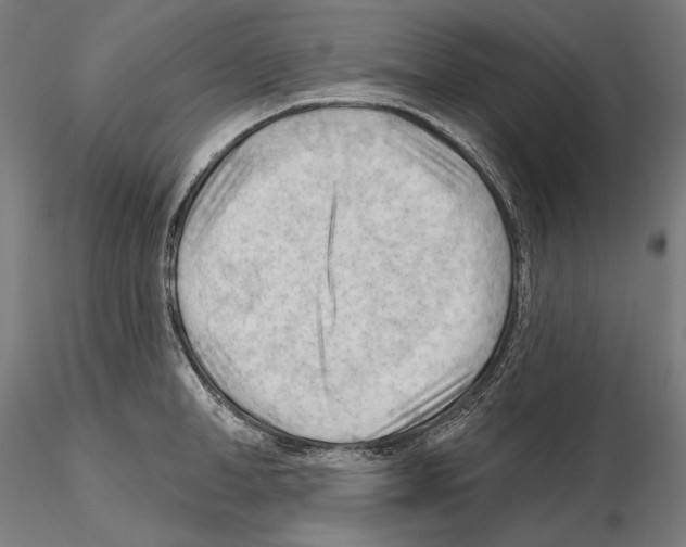 X0000114630998200912011021