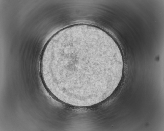 X0000114630999200912011021