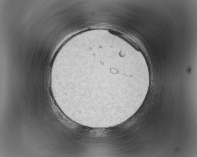 X0000114631000200912011021