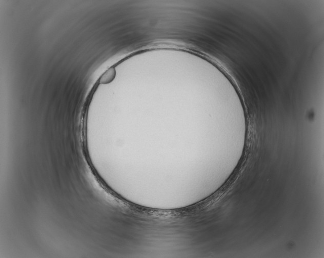 X0000114631003200912011021