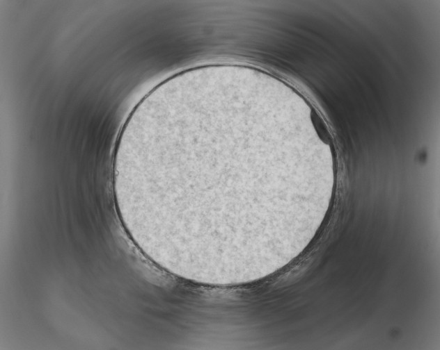 X0000114631004200912011021