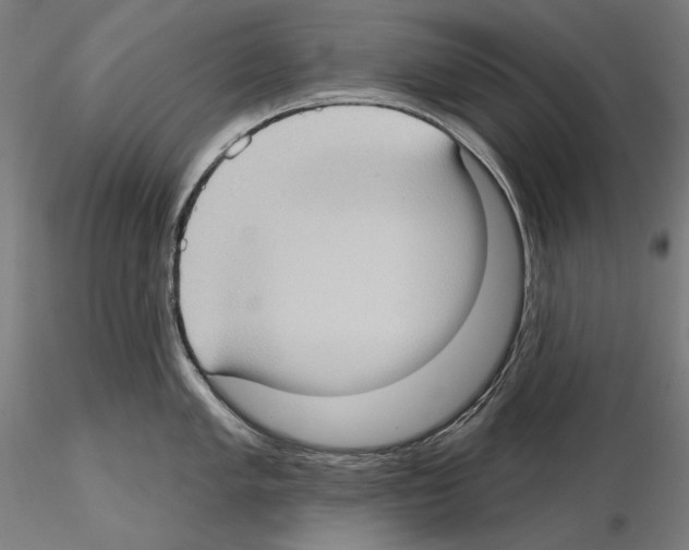 X0000114631005200912011021