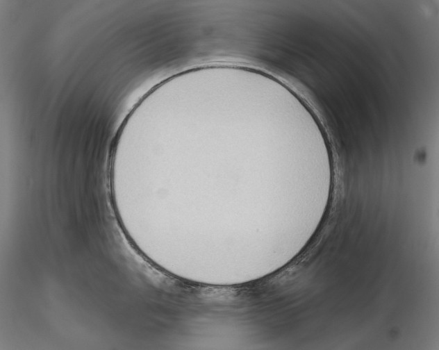 X0000114631006200912011021