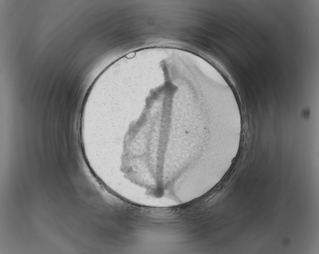 X0000114631007200912011021