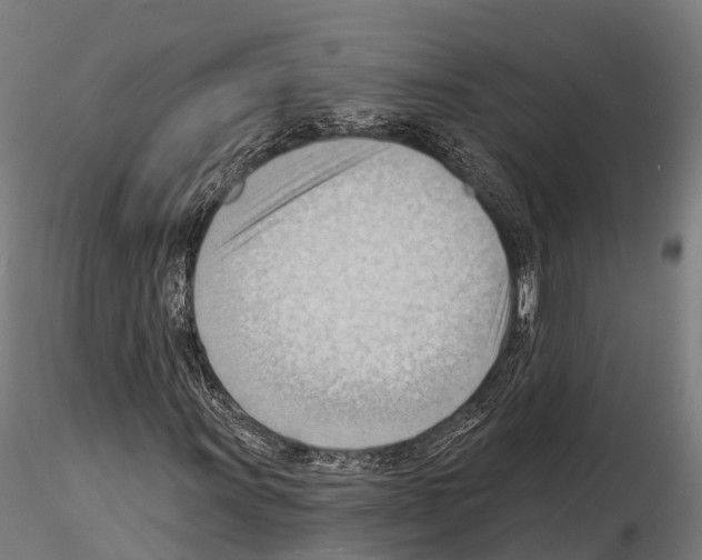 X0000114631011200912011020