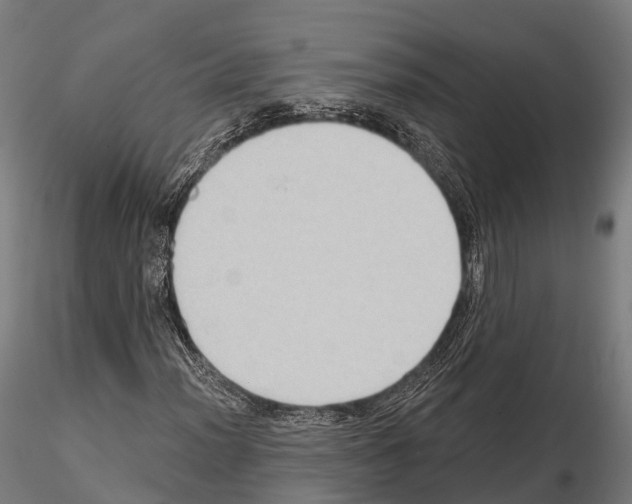 X0000114631012200912011020