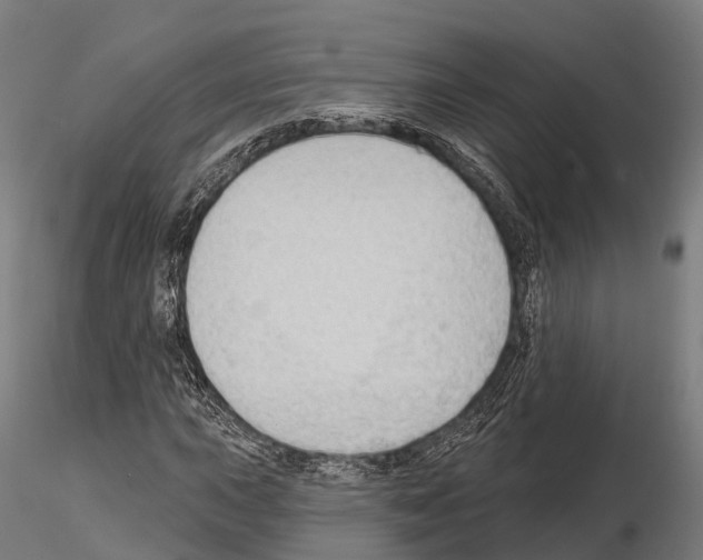 X0000114631015200912011020