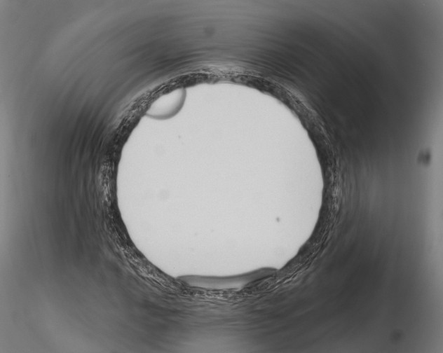 X0000114631016200912011020