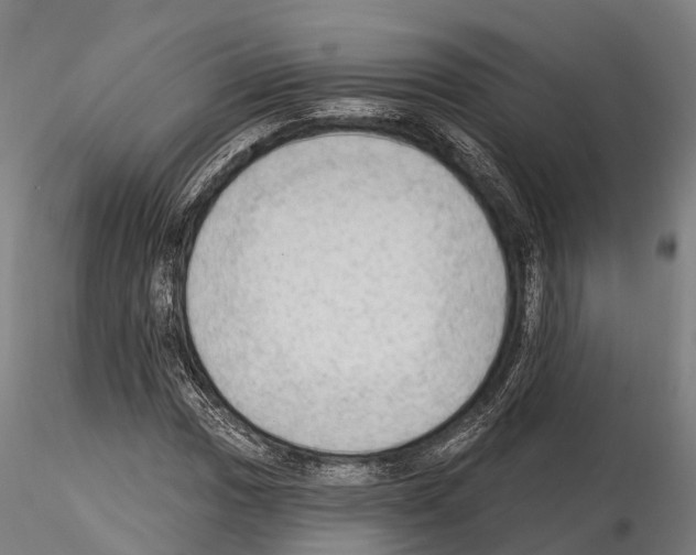 X0000114631017200912011020