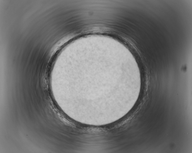 X0000114631018200912011020