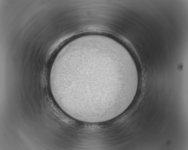 X0000114631019200912011020