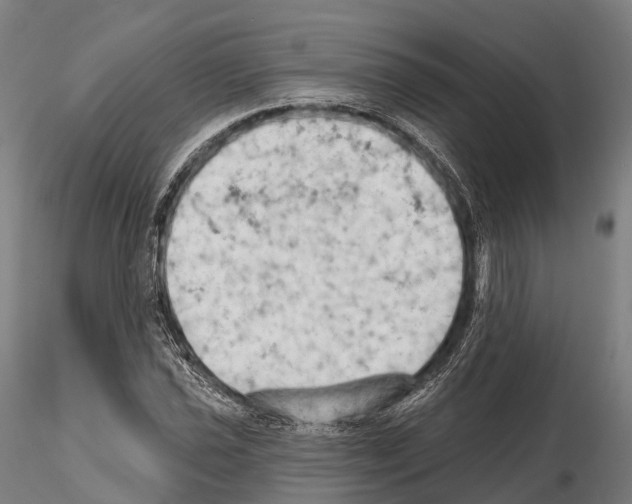 X0000114631021200912011020