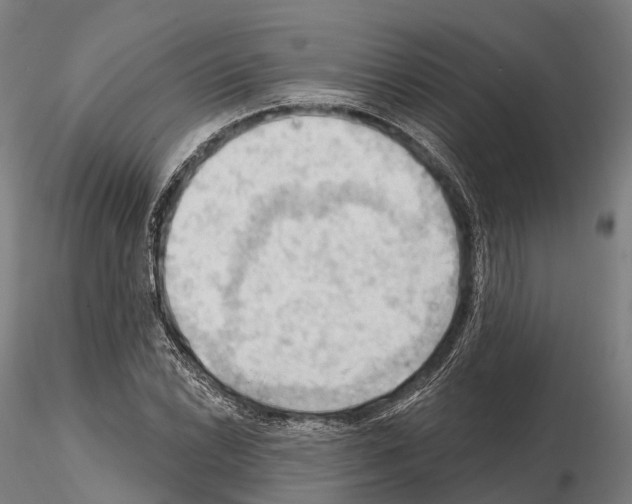 X0000114631022200912011020