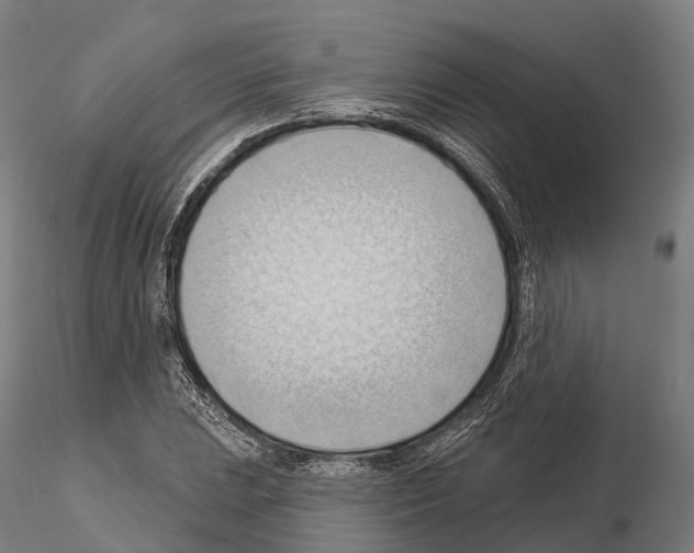 X0000114631023200912011020