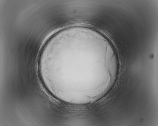 X0000114631024200912011020