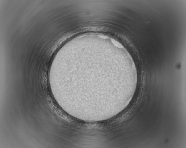 X0000114631025200912011020