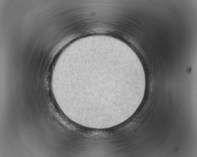 X0000114631026200912011020