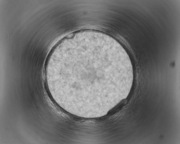 X0000114631028200912011020