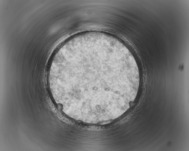 X0000114631029200912011020