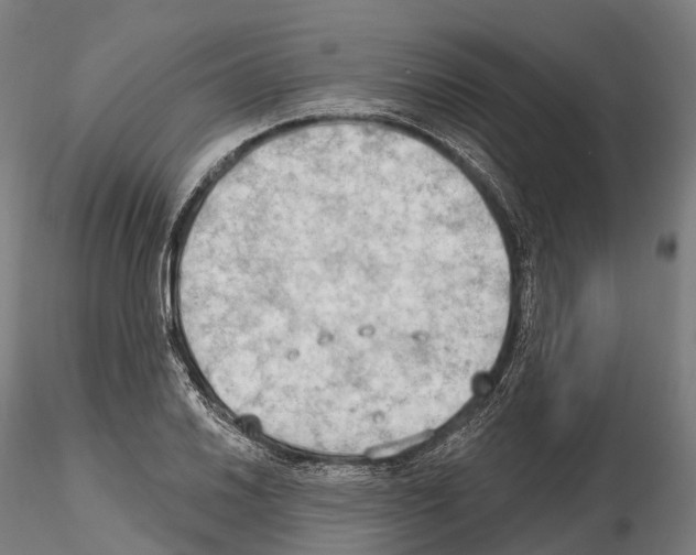 X0000114631030200912011020