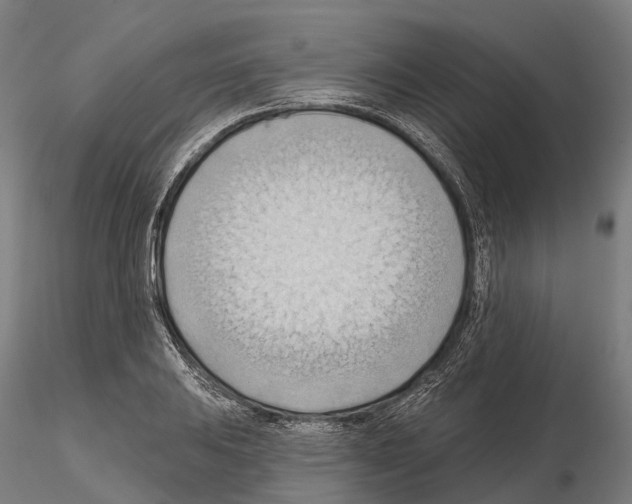 X0000114631031200912011020