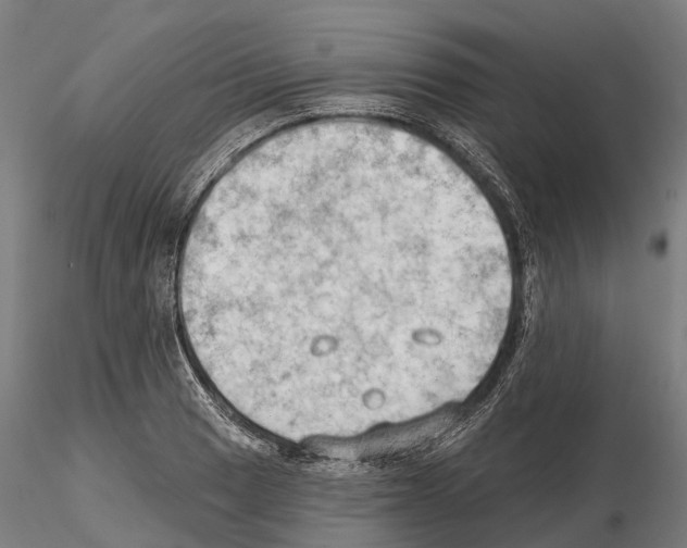 X0000114631033200912011020