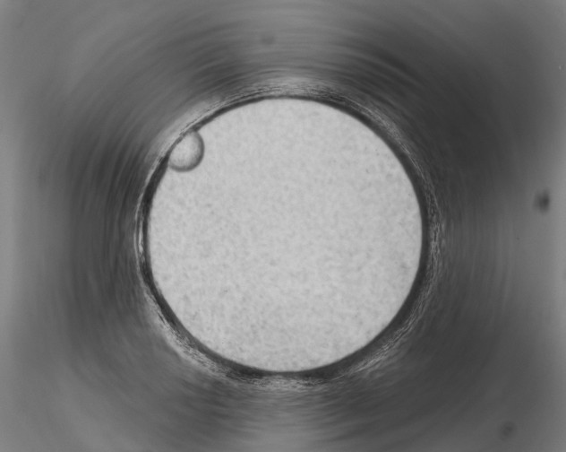 X0000114631034200912011020