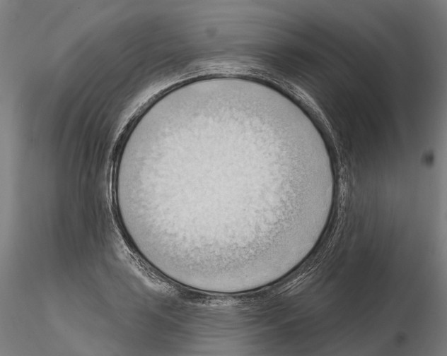 X0000114631035200912011020