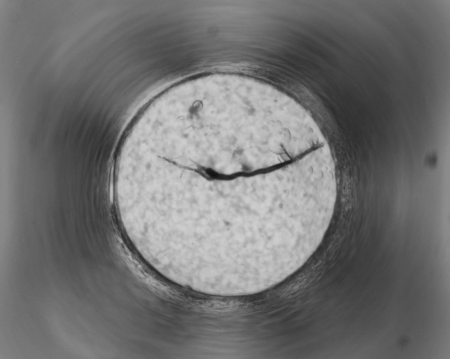 X0000114631036200912011020