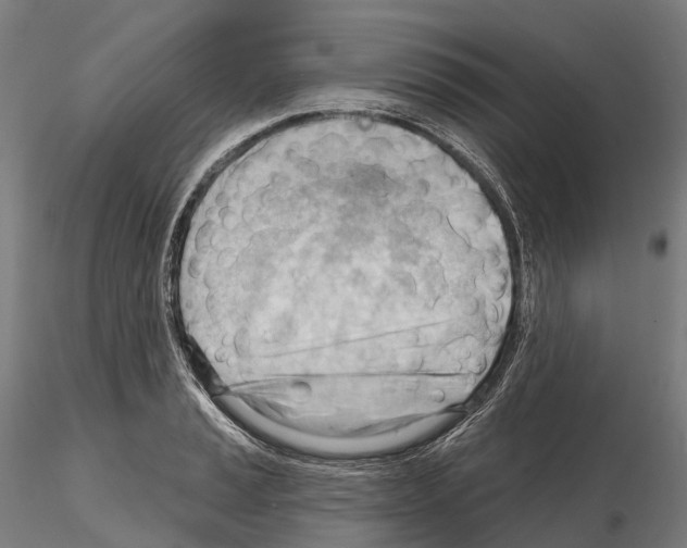 X0000114631037200912011020