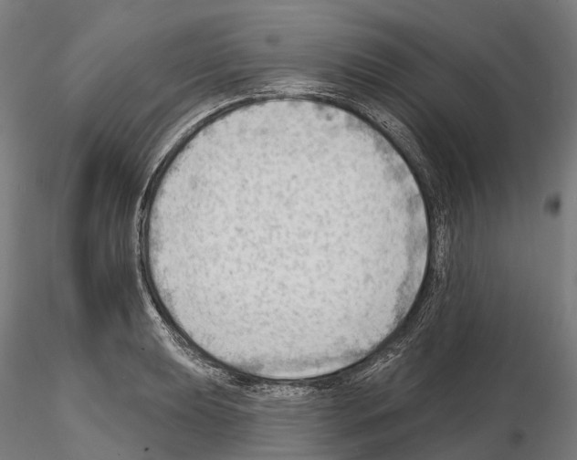 X0000114631039200912011020