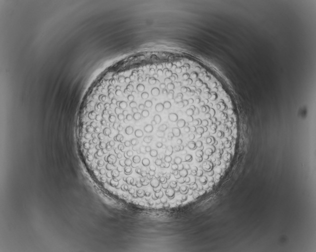 X0000114631040200912011020