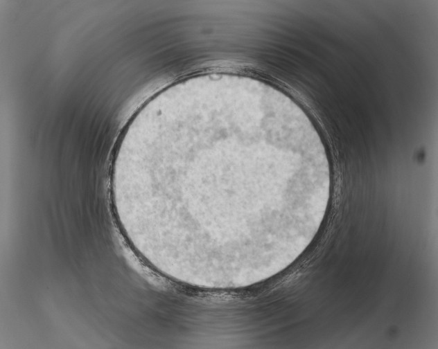 X0000114631042200912011020