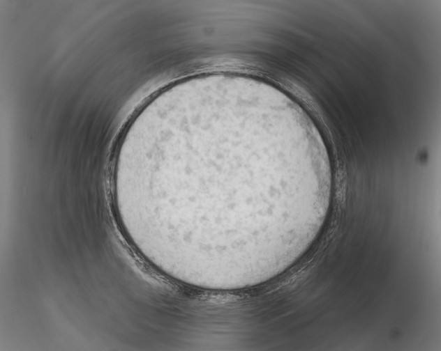 X0000114631043200912011020