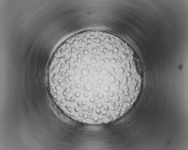 X0000114631044200912011020