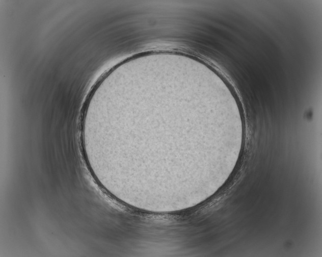 X0000114631045200912011020