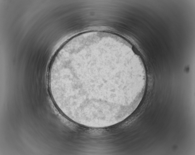 X0000114631046200912011020