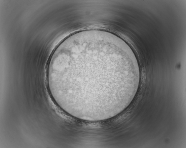 X0000114631047200912011020