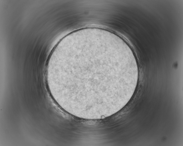 X0000114631048200912011020