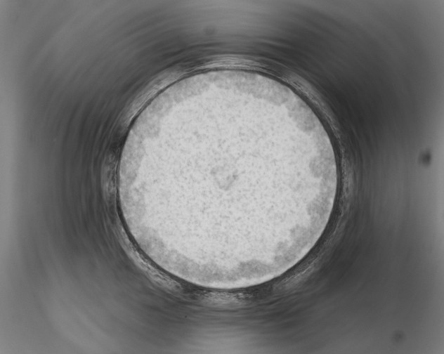 X0000114631049200912011020