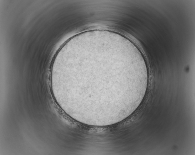 X0000114631051200912011020