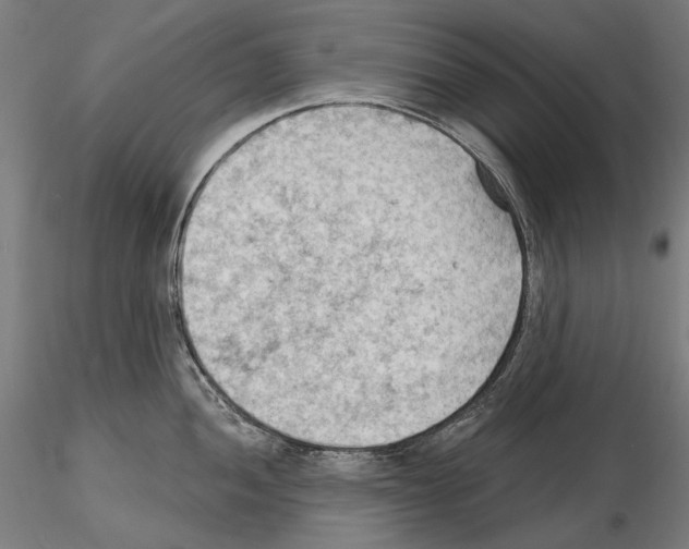 X0000114631052200912011020