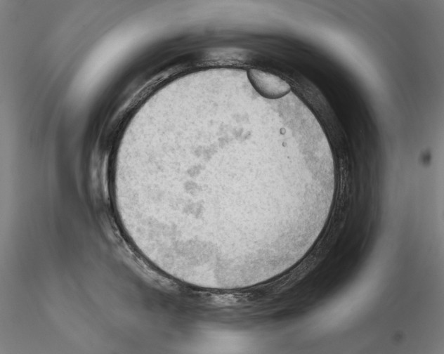 X0000114631054200912011020