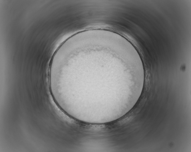 X0000114631055200912011021