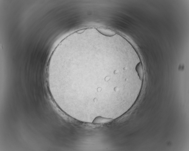 X0000114631056200912011021