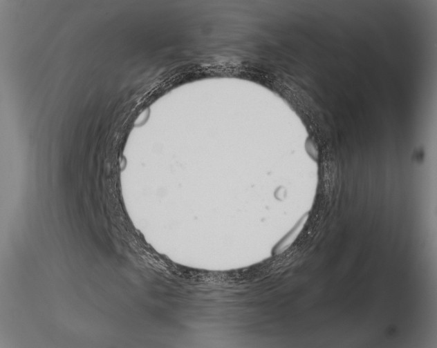 X0000114631057200912011020