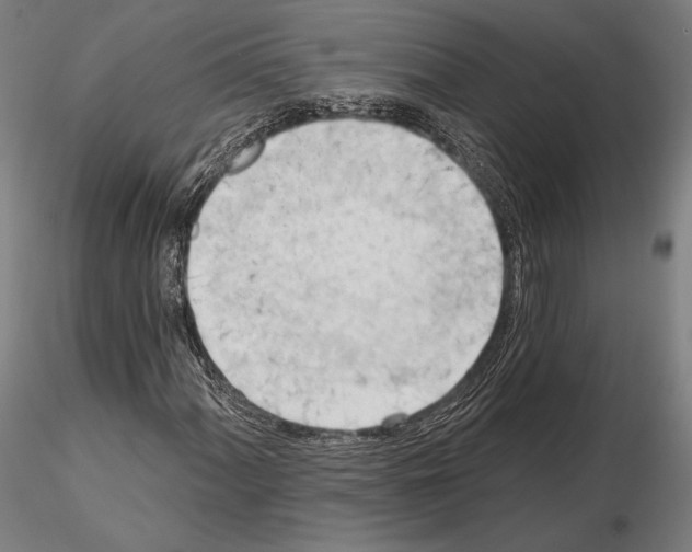 X0000114631060200912011020