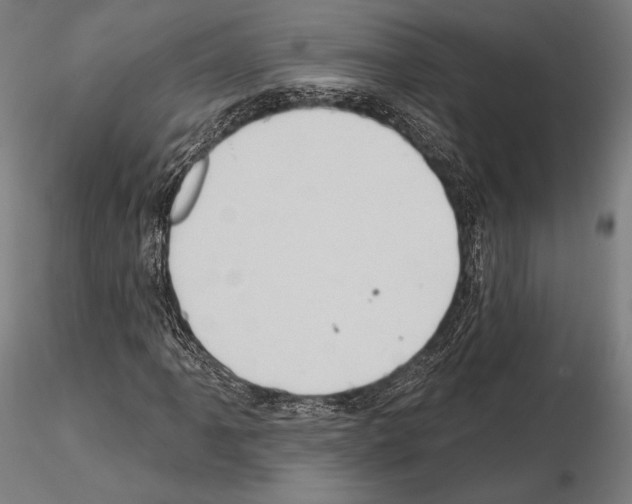 X0000114631061200912011020