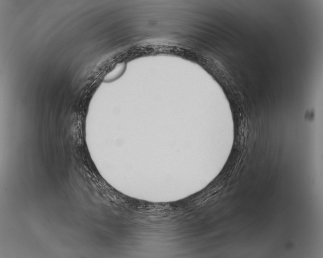 X0000114631062200912011020